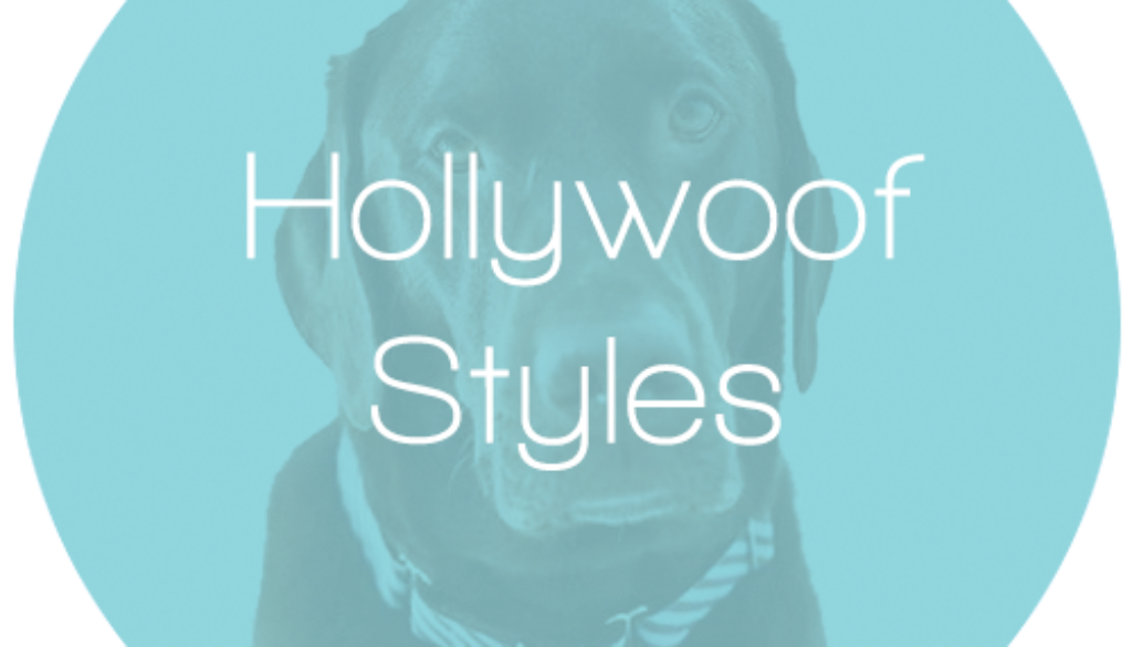 HollywoofStyles